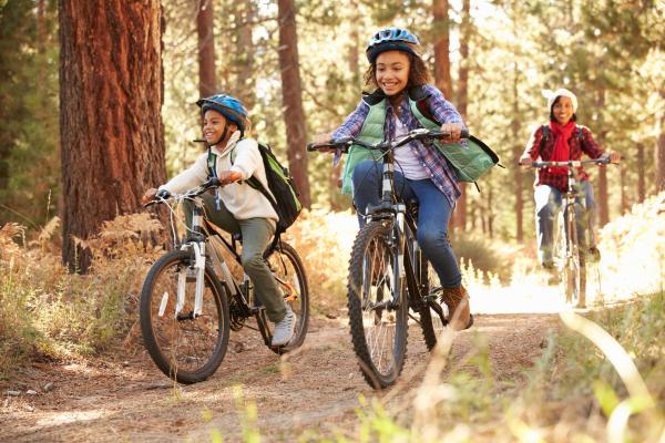 2 children and a woman riding bicycles through a forest