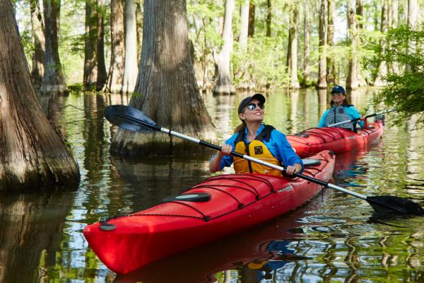 image of two women kayaking in swampy water surrounded by trees