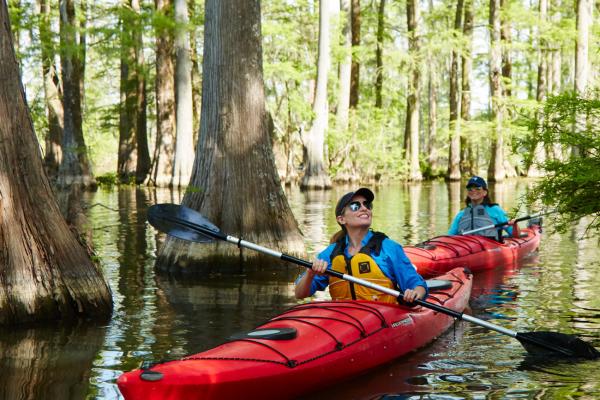 image of two women kayaking in swampy water surrounded by trees