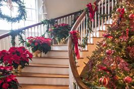 photo of a staircase decorated with poinsettias