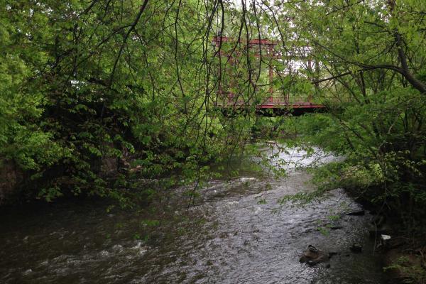 Assunpink Creek from Mill Hill Park