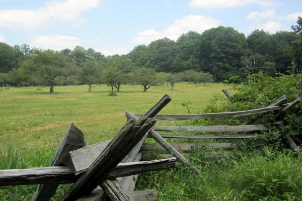 View of the encampment area at Jockey Hollow area of Morristown NPS