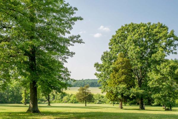 Photograph of Combs Hill at Monmouth