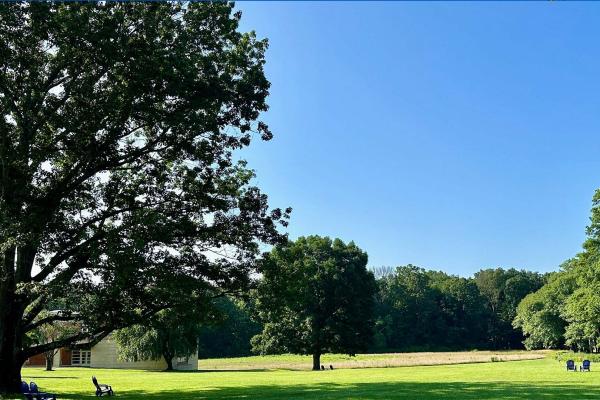 Institute Woods at Princeton