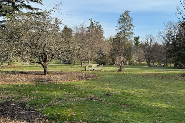 Mercer Hill at Marquand Park