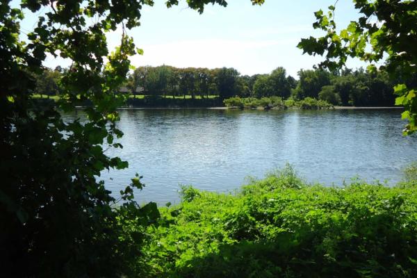 View of the Delaware River from Washington Crossing State Park NJ