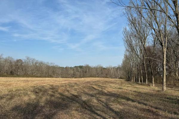 Historic Overlook Park