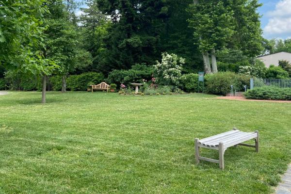 Remains of British Artillery Defenses by Olvia Bucs