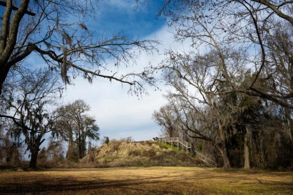 Fort Watson (The Mound Fort) by Mike Talplacido