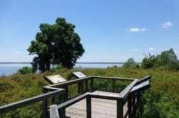 Fort Watson Mound Top