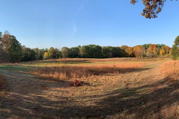 Fiske Meadow Courtesy of the NPS