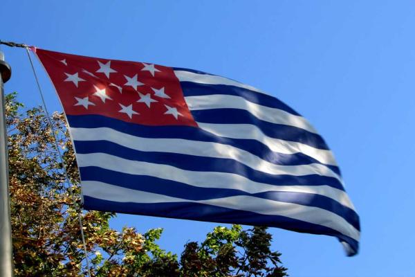 Fort Mercer Garrison Flag