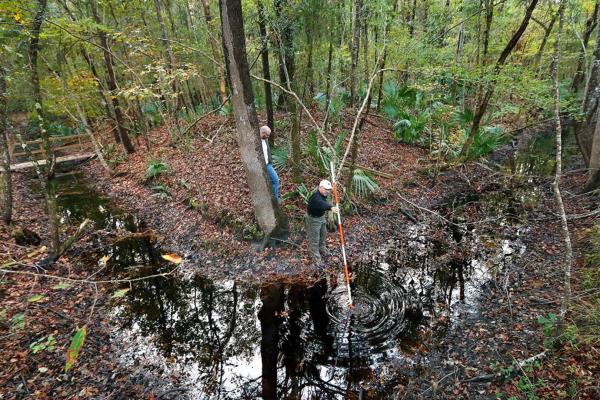 Fort Fair Lawn Conservation Efforts
