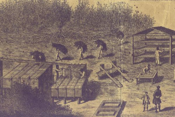 Fort Fair Lawn Mouzon Detail