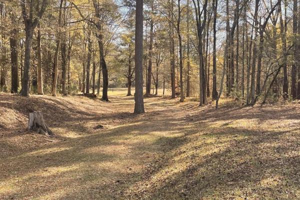 Ninety Six From Trading Post to Colonial Town Stop