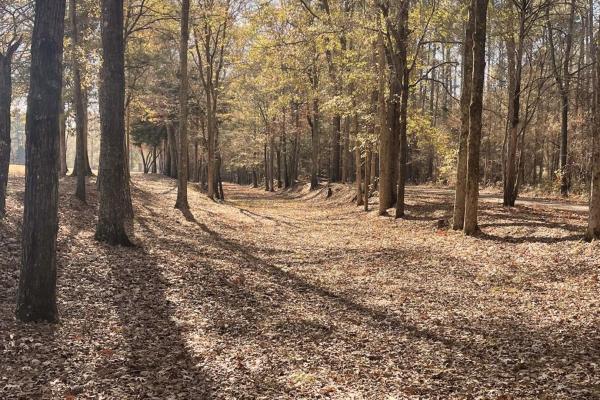 Patriots March Toward Ninety Six Stop