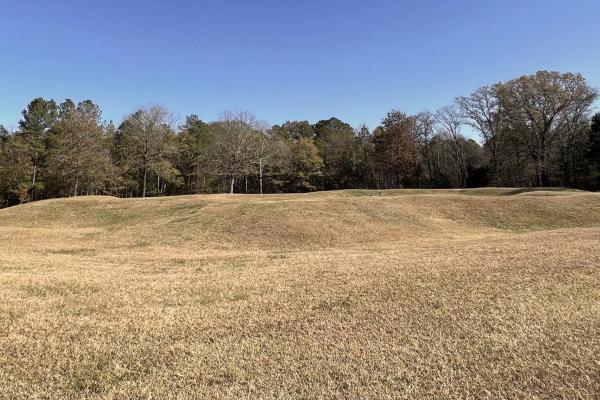 Star Fort at Ninety Six