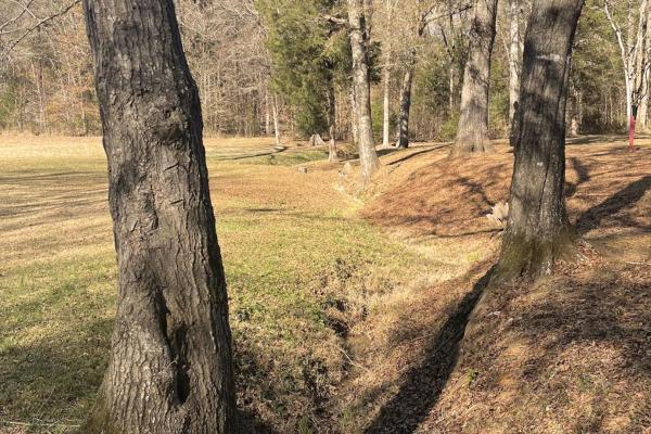 The Battle for Water Stop at Ninety Six