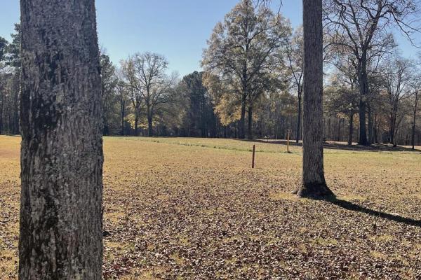 Black Patriots at Ninety Six