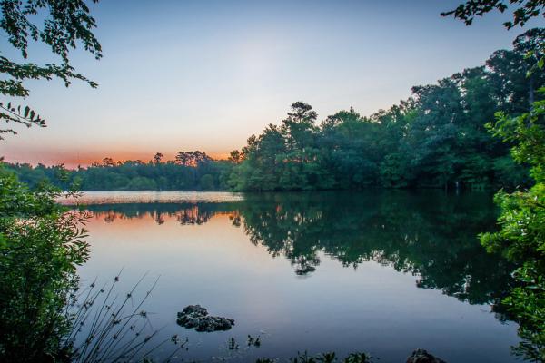 Eutaw Springs Lake Marion