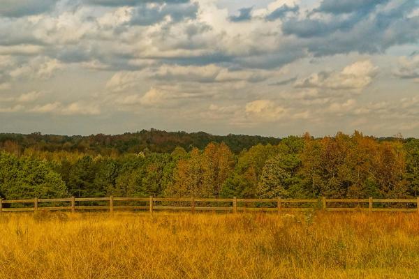 Hanging Rock Landscape Brian Keeley Photography
