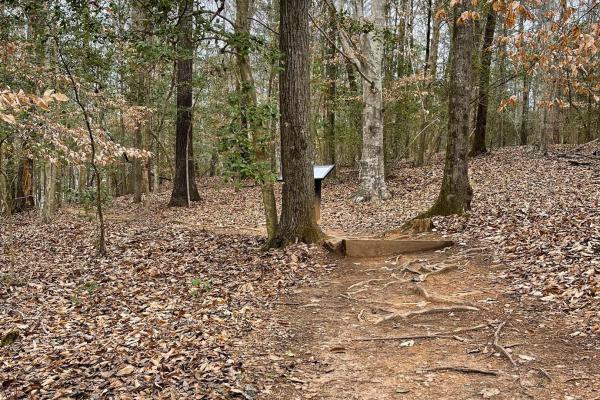 Trail at Musgrove Mill (Stop 3) Courtesy of the South Carolina Battleground Preservation Trust