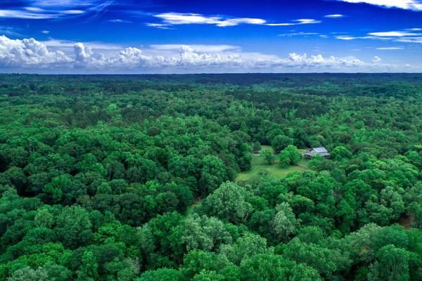 Aerial Photo of Musgrove Mill by Ryan Montgomery
