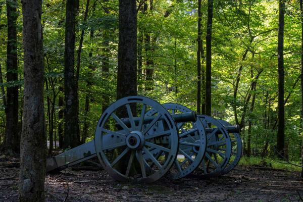 Six Pounders at Guilford Courthouse by Mike Talplacido
