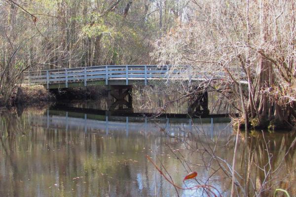 Reconstruction of a Moores Creek Bridge