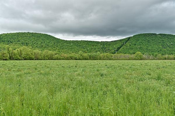 Hill at Newtown (Clinton & Poor's Ascent)