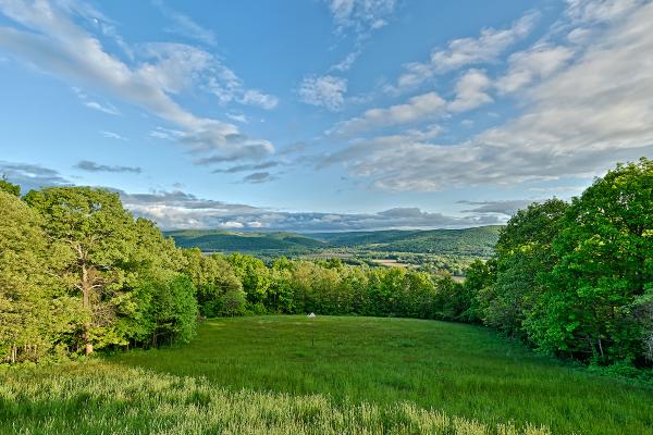 Newtown Park Overlook