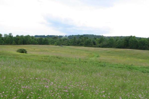 Photo of the Barber Wheatfield by Ken Lund