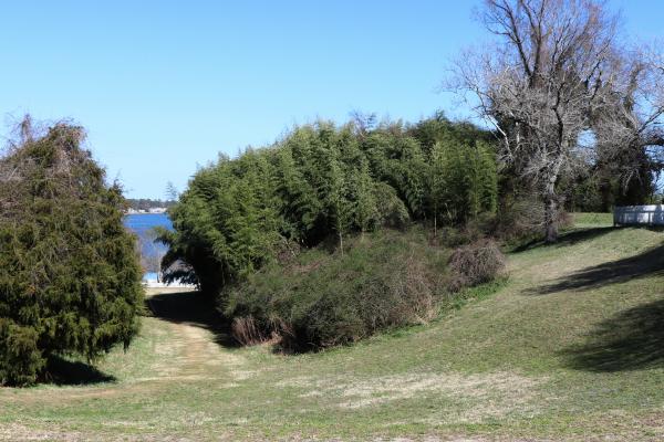 Great Valley at Yorktown