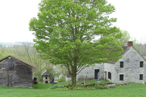 Picture displaying the entirety of Fort Klock in NY