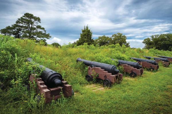 Artillery pieces at the Second Allied Siege Line 