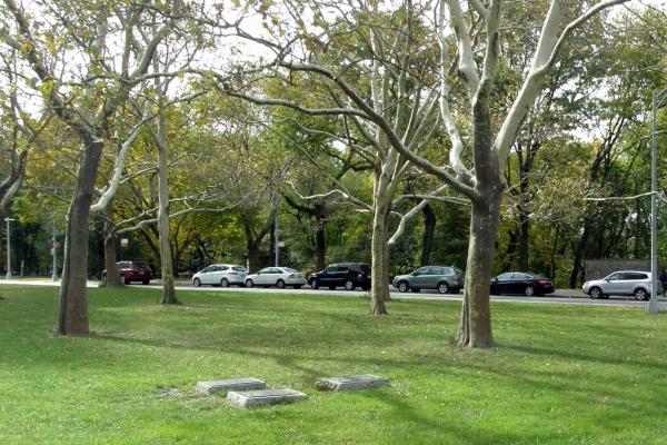 Ground monuments dedicated to the Battle of Harlem Heights