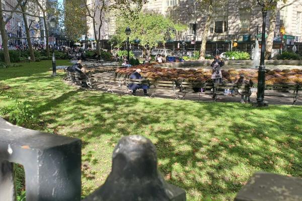 Bowling Green in New York City with park benches and grass