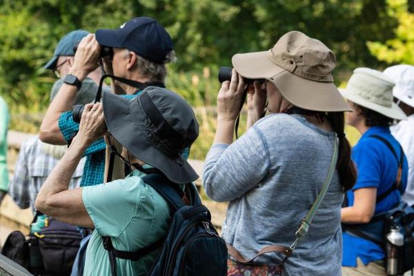 Four people with binoculars look in the distance with green trees around them.