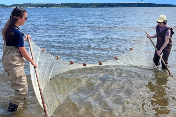 two people in water seining