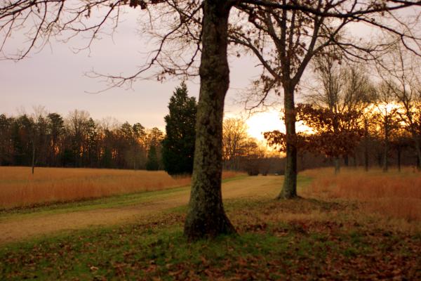 The sun is coming up on the battlefield in the direction that the Americans would have been facing.