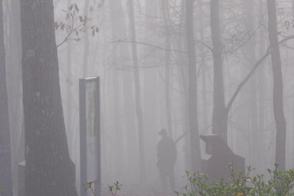 A corten steel figure of a Native American stands sentinel in the fog.