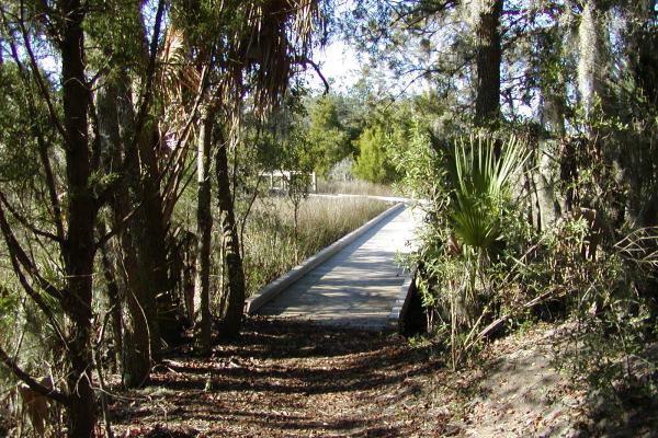 Boardwalk and Marsh