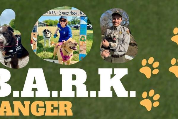 Rangers with dogs
