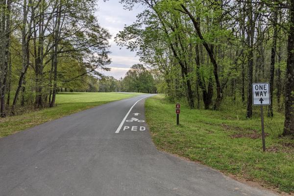 One way road with a cycling lane on the right side.