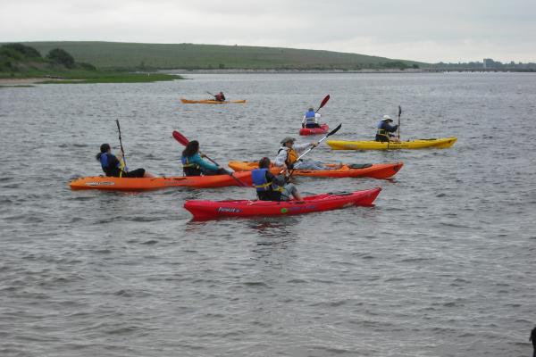 group of kayakers in water