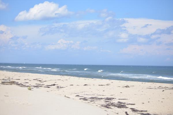 Beach under blue sky.