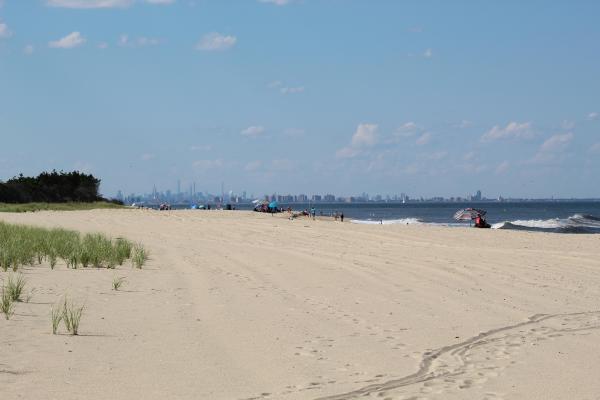Beach under blue sky