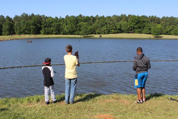 Three young boys fishing on a clear day.