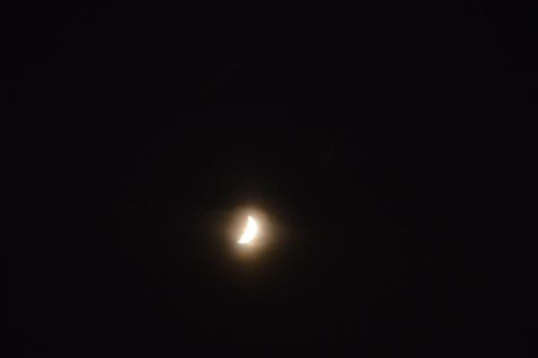 Stars in Night Sky