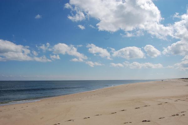 Sandy beach under a blue sky.